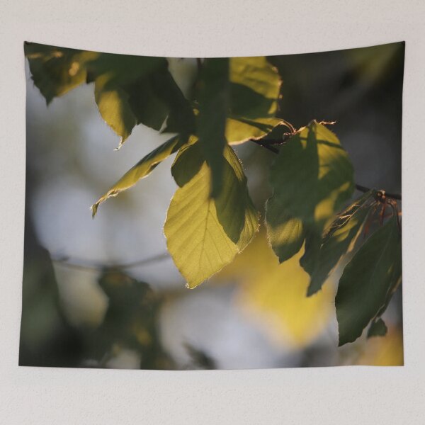 Item preview, Sunlit designed and sold by cuprum.