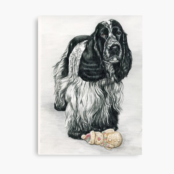 English Cocker Spaniel Canvas Print