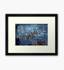 Seasons Greeting Framed Print