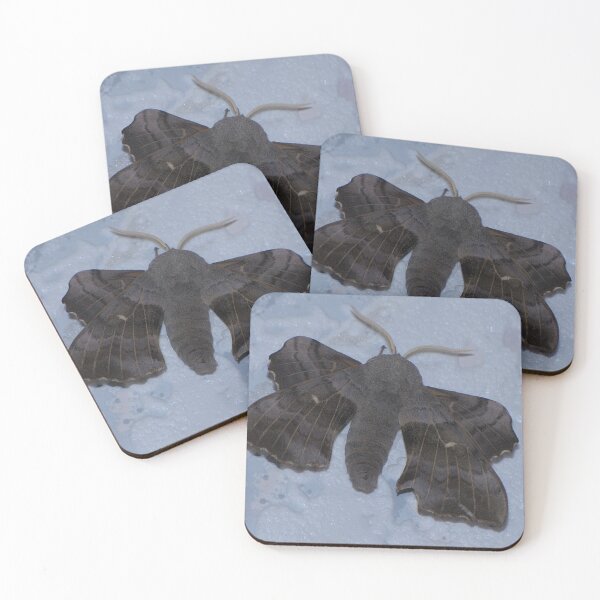 Item preview, Poplar Hawk Moth 01 designed and sold by Sharon Perrett.