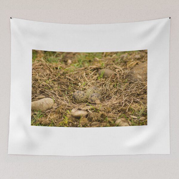 Item preview, sbs lapwing nest designed and sold by pcfyi.