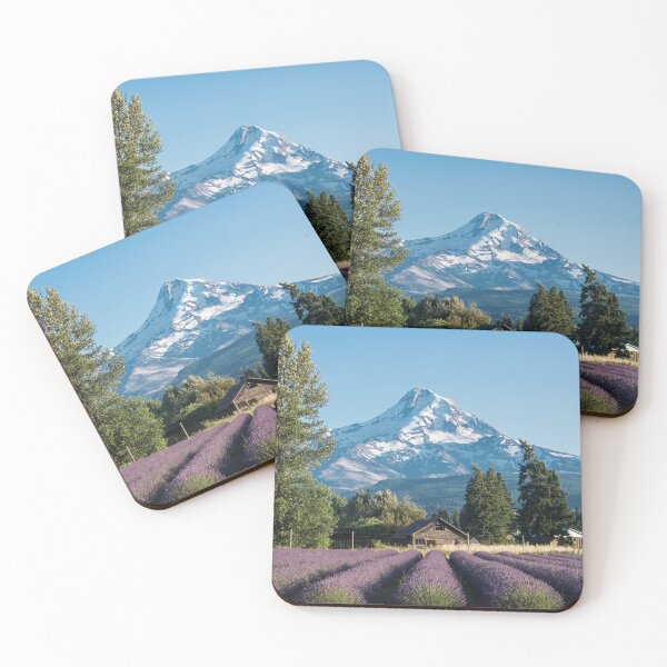 Item preview, Lavender flower field near Mt. Hood mountain in Oregon, with an abandoned barn designed and sold by mkopka.