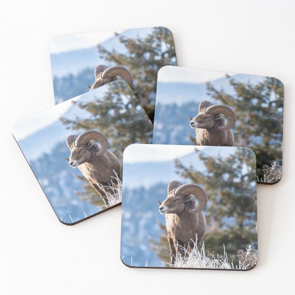 Item preview, Ram male bighorn sheep standing on the edge of a cliff with frosty winter grasses. designed and sold by mkopka.