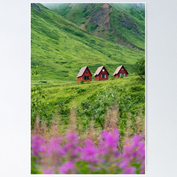 Item preview, Red cabins sit in the green grassy mountains of Alaska's Hatcher Pass near Independence Mine. Purple fireweed wildflowers designed and sold by mkopka.