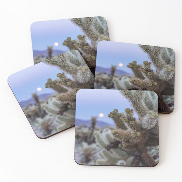 Item preview, Cholla Cactus in Joshua Tree National Park at sunset designed and sold by mkopka.