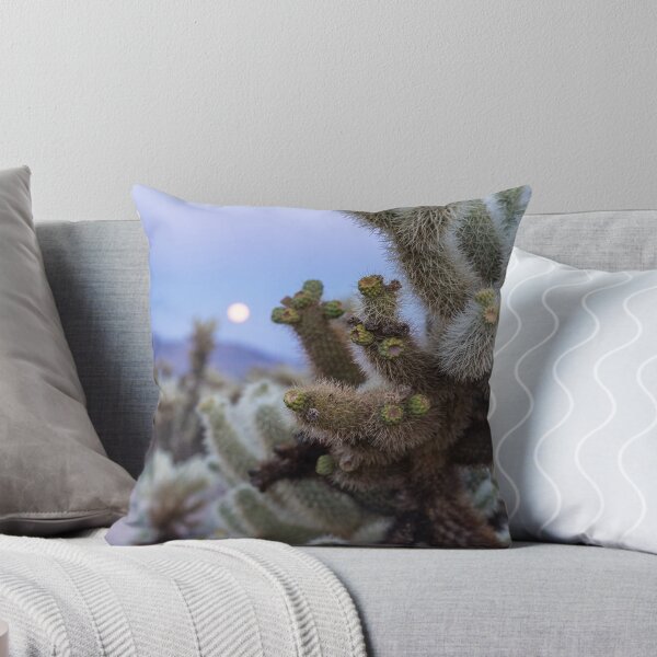 Item preview, Cholla Cactus in Joshua Tree National Park at sunset designed and sold by mkopka.