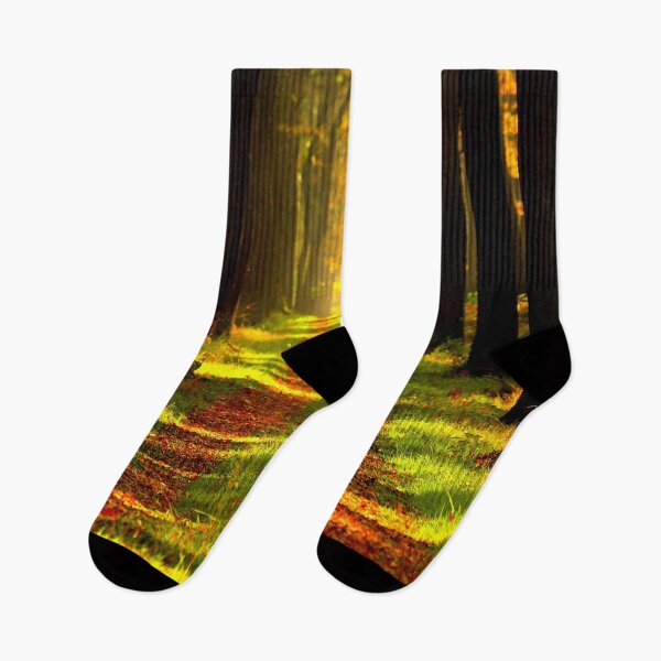 Item preview, Beautiful Forest Trail in the fall. designed and sold by azule1.