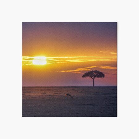 Masai Mara Sunrise Art Board Print