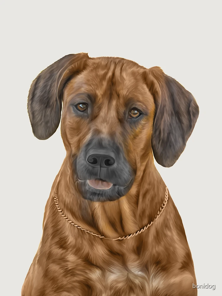 Thumbnail 6 of 6, Premium Oversized Sweatshirt, Drawing Rhodesian Ridgeback designed and sold by bonidog.