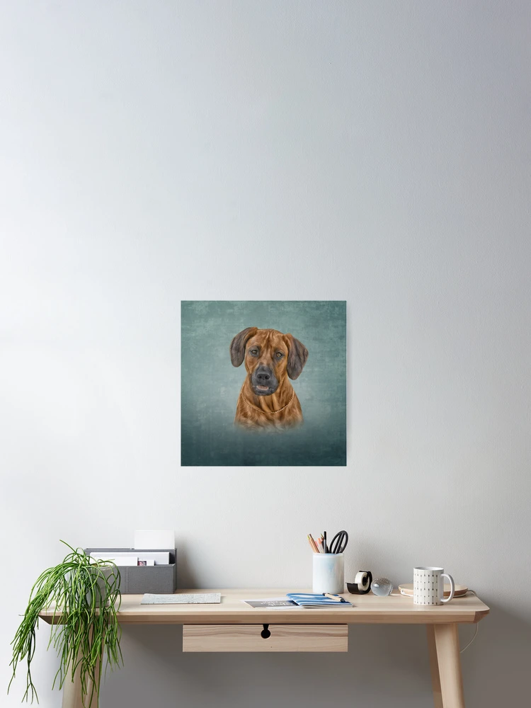 Aperçu 2 sur 3. Poster avec l'œuvre Dessin Rhodesian Ridgeback créée et vendue par bonidog.