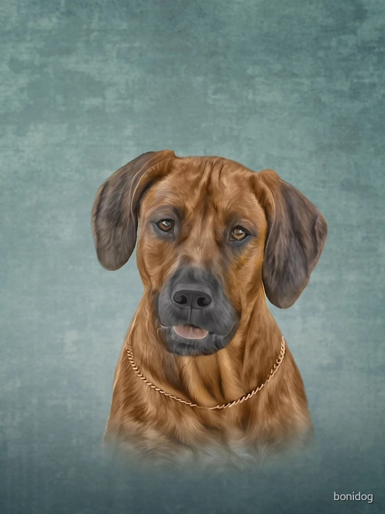 Aperçu 5 sur 5. Robe trapèze avec l'œuvre Dessin Rhodesian Ridgeback créée et vendue par bonidog.