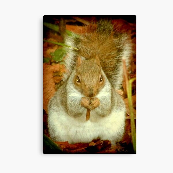 I am not fat, I am big boned!!! © Canvas Print