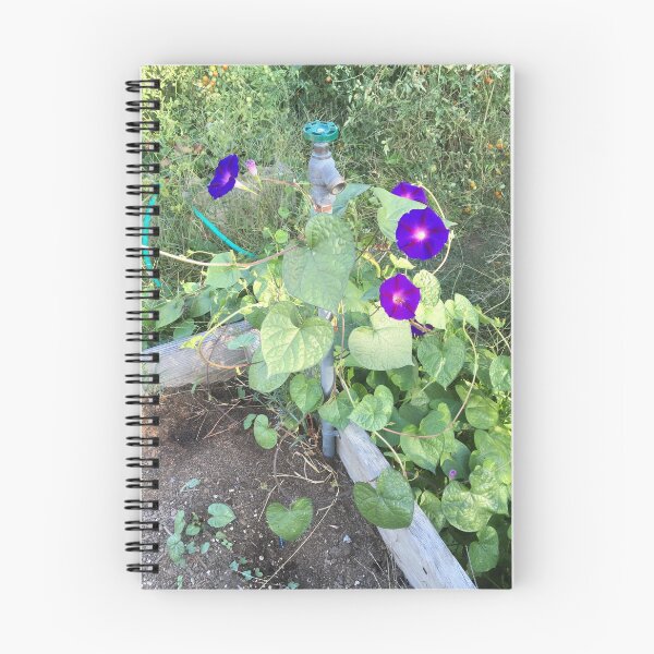 Item preview, Trumpet vine twines around water spigot designed and sold by Rita Kindle.