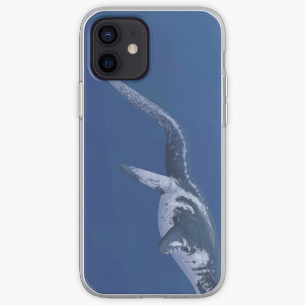 Albertonectes Poster iPhone Soft Case