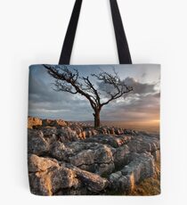 changeable Tote Bag