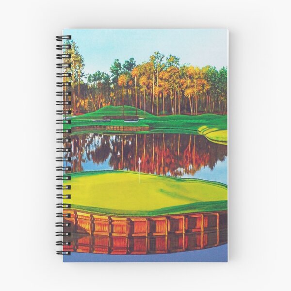 Aperçu de l'œuvre 17ème trou au TPC Sawgrass créée et vendue par Terry Huey.