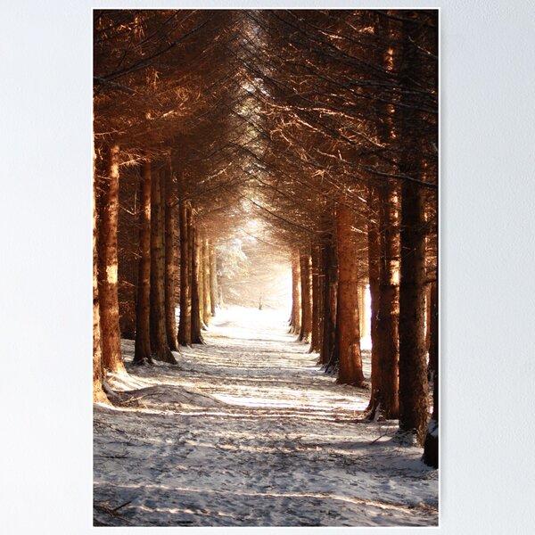 Item preview, If you go down to the woods today 2 designed and sold by Ian Coyle.