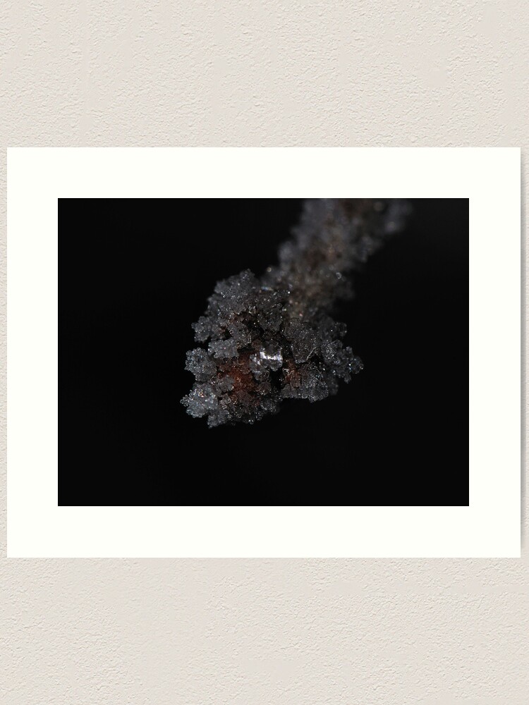Alternate view of Ice Node Art Print