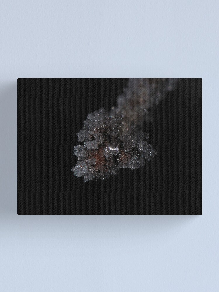 Alternate view of Ice Node Canvas Print
