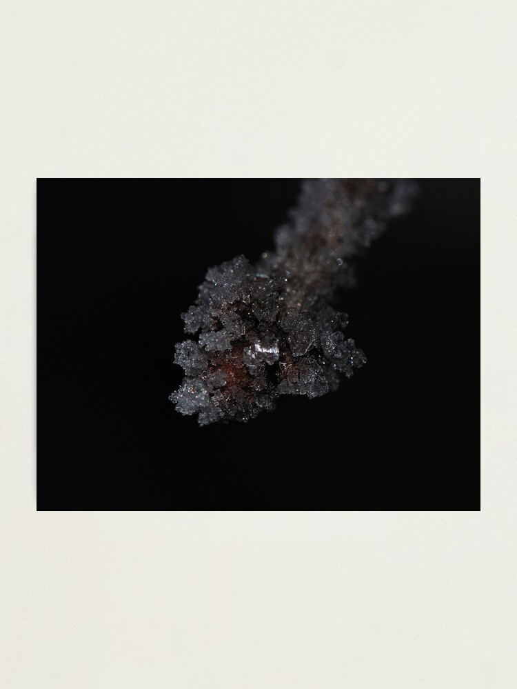 Alternate view of Ice Node Photographic Print