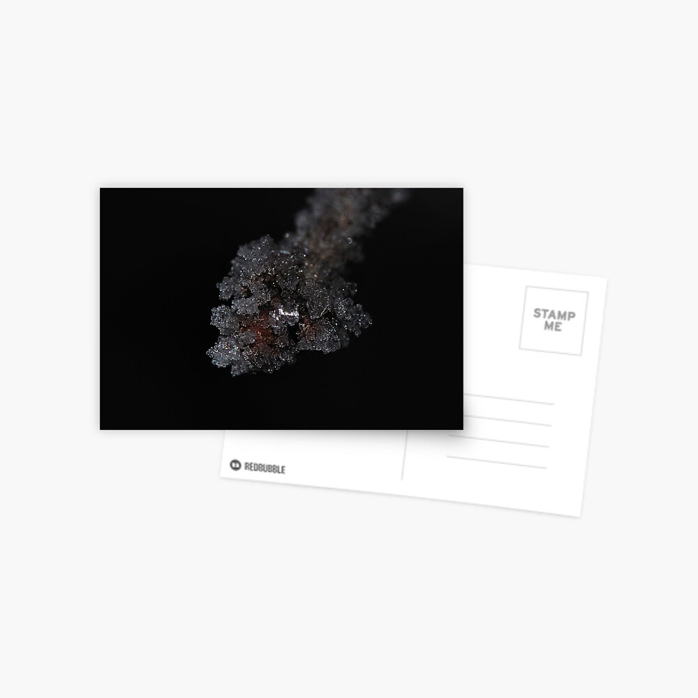 Item preview, Postcard designed and sold by pauleden.
