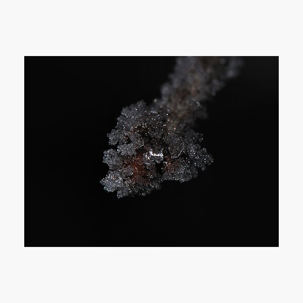 Ice Node Photographic Print