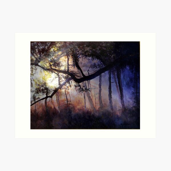"Myakka River - Shadow Crossing" Art Print