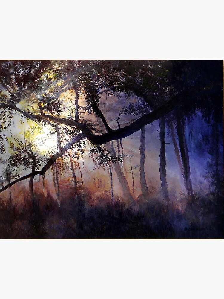 "Myakka River - Shadow Crossing" by cyberhighwaymen
