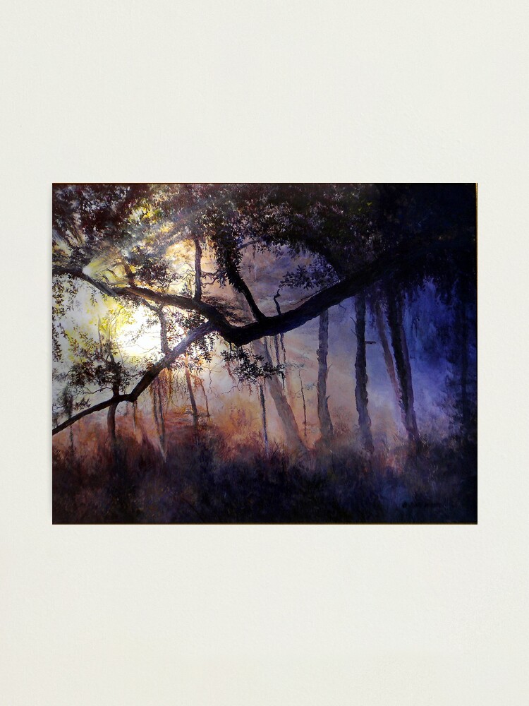 Alternate view of "Myakka River - Shadow Crossing" Photographic Print