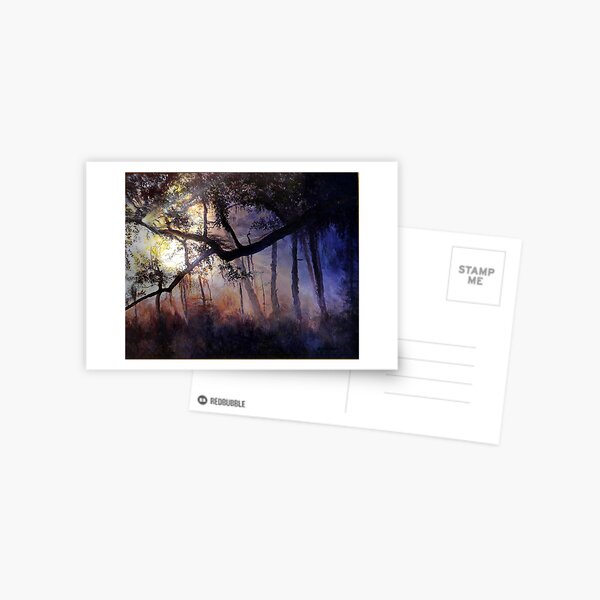 "Myakka River - Shadow Crossing" Postcard