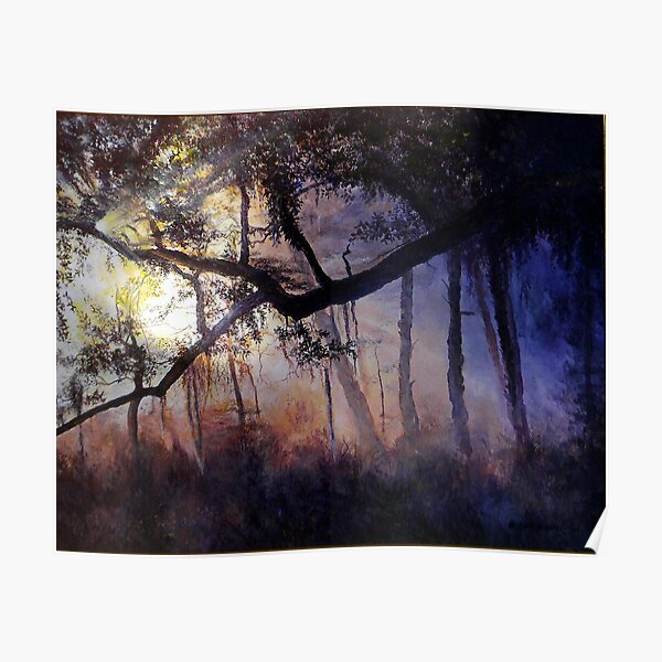 "Myakka River - Shadow Crossing" Poster