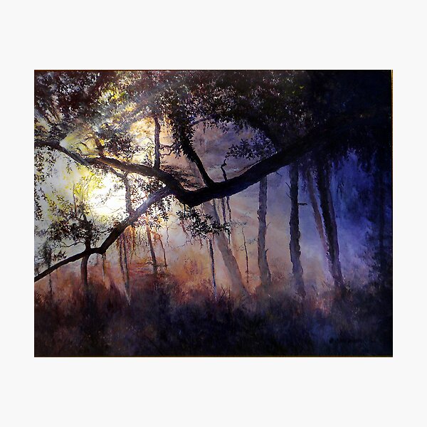 "Myakka River - Shadow Crossing" Photographic Print