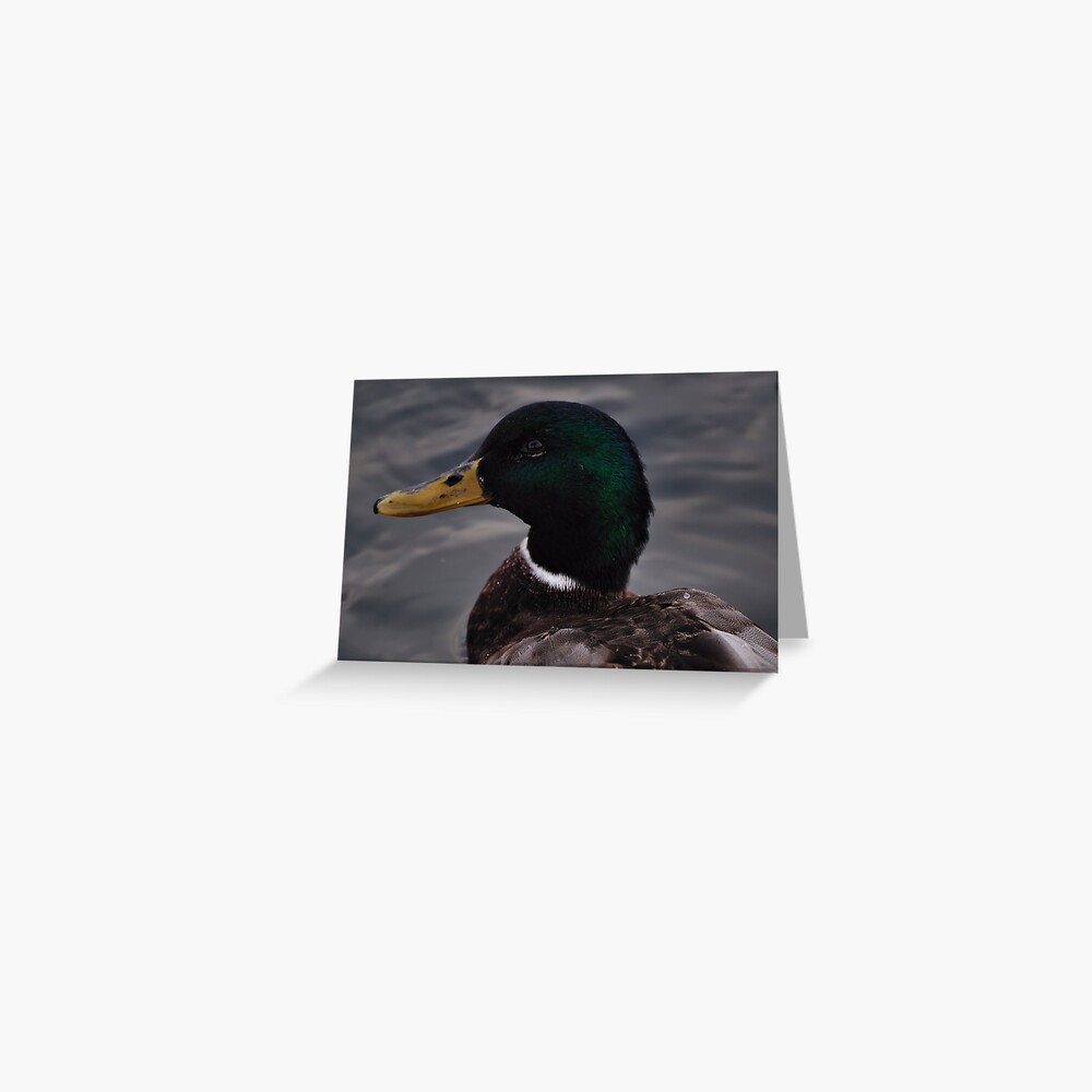 Item preview, Greeting Card designed and sold by pauleden.