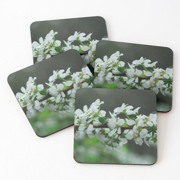 Artikelvorschau, Cherry Blossoms (1) entworfen und verkauft von Mike Ashley.