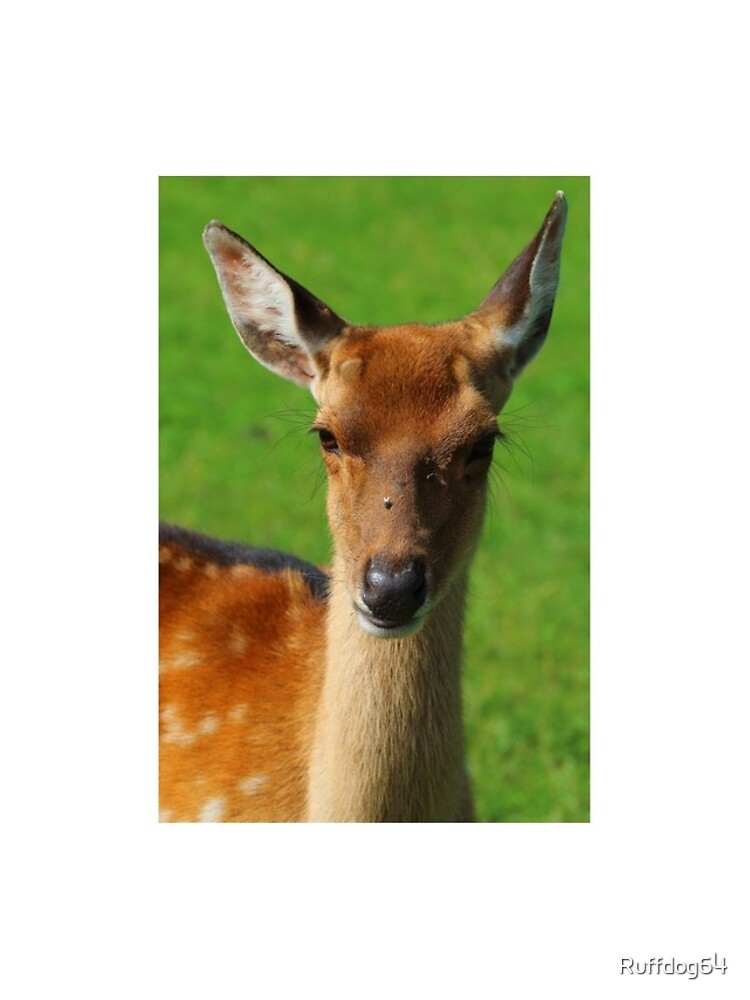 Thumbnail 4 of 4, iPhone Case, Deer designed and sold by Ruffdog64.