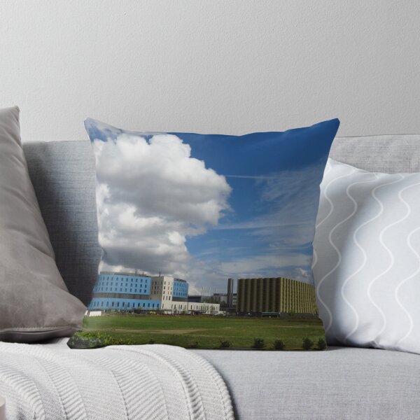 Item preview, The Royal Papworth Hospital & Car Park Number 2 designed and sold by wiggyofipswich.
