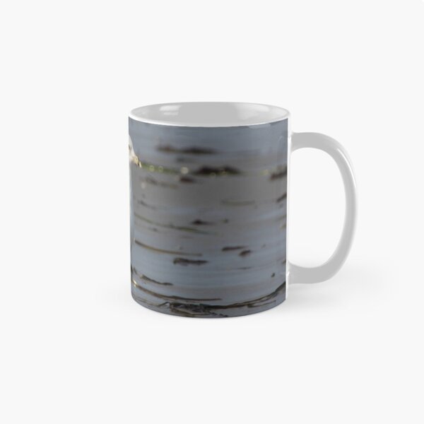 Item preview, Gansett Gull designed and sold by Autumn Seas Photography.