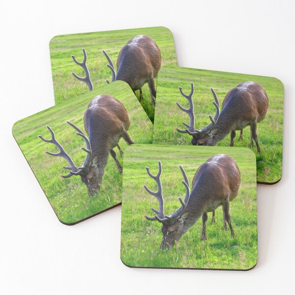 Item preview, Red Deer of Lochranza, Isle of Arran designed and sold by AlbaPhotography.
