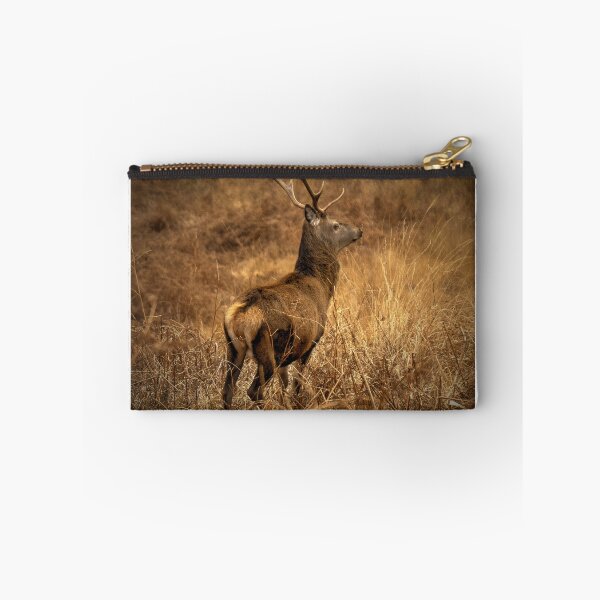 Item preview, Highland Stag, Glen Etive, Scotland designed and sold by AlbaPhotography.