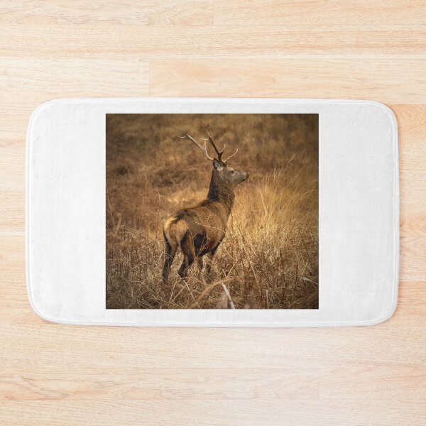 Item preview, Highland Stag, Glen Etive, Scotland designed and sold by AlbaPhotography.