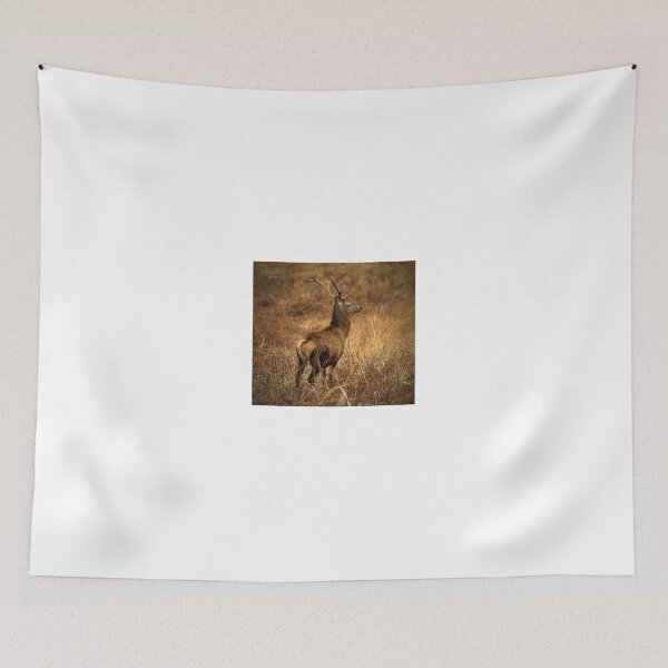 Item preview, Highland Stag, Glen Etive, Scotland designed and sold by AlbaPhotography.