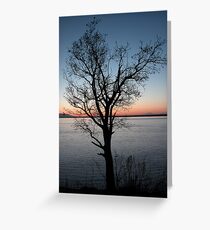 Lone Tree Overlooks Cook Inlet at Dusk Greeting Card