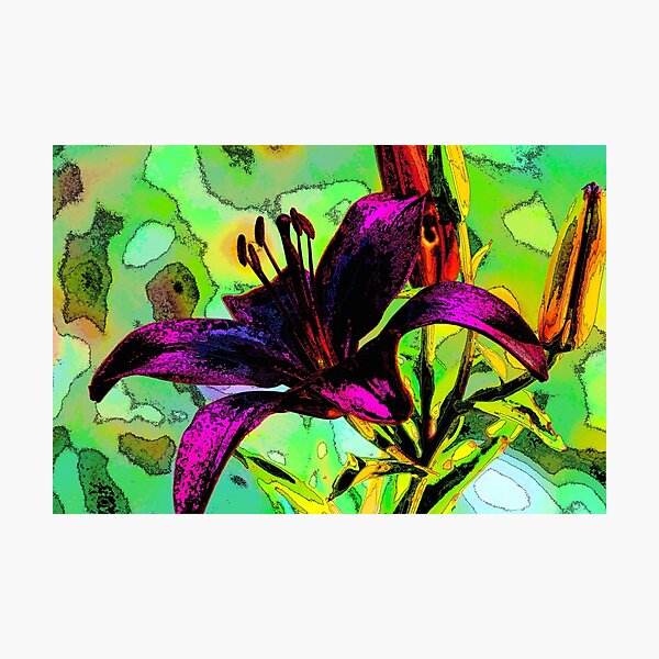 Lily design Photographic Print