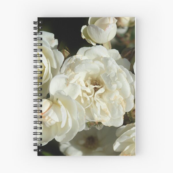 Item preview, white roses on black background designed and sold by olena2552.