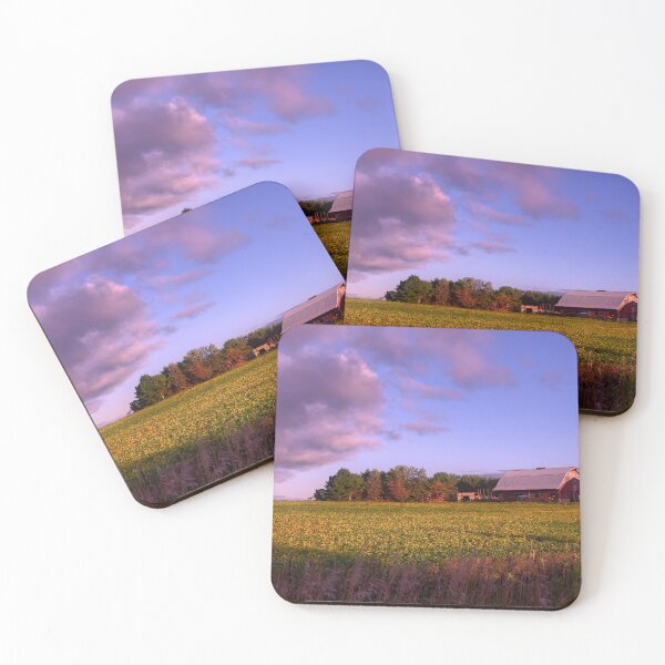 Item preview, Summer Beans designed and sold by LynyrdSky.