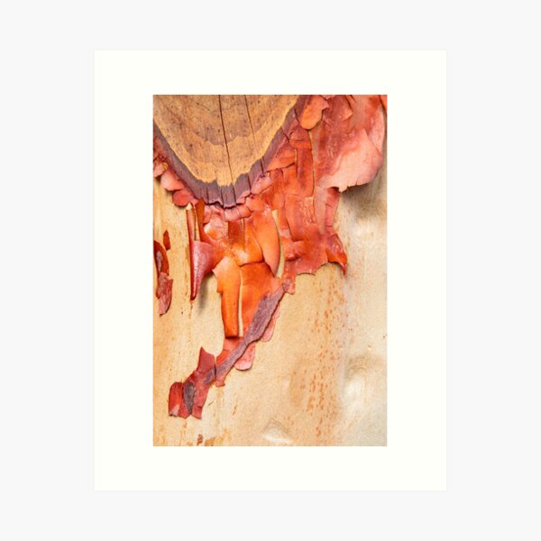 Item preview, Arbutus Abstract designed and sold by Marilyn Cornwell.