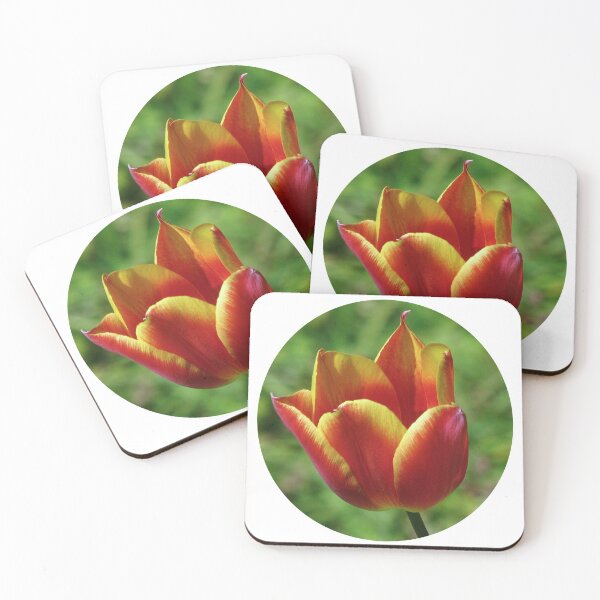 Item preview, A Tulip Tee - 01 designed and sold by Sharon Perrett.