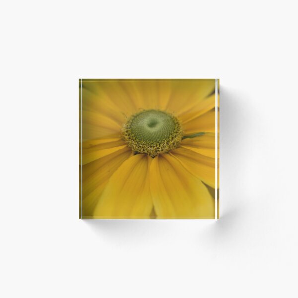 Artikelvorschau, Guten Tag Sonnenschein entworfen und verkauft von Thefickleflower.