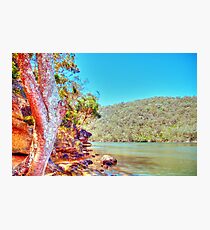 Bobbin Head, NSW, November 2010 Photographic Print