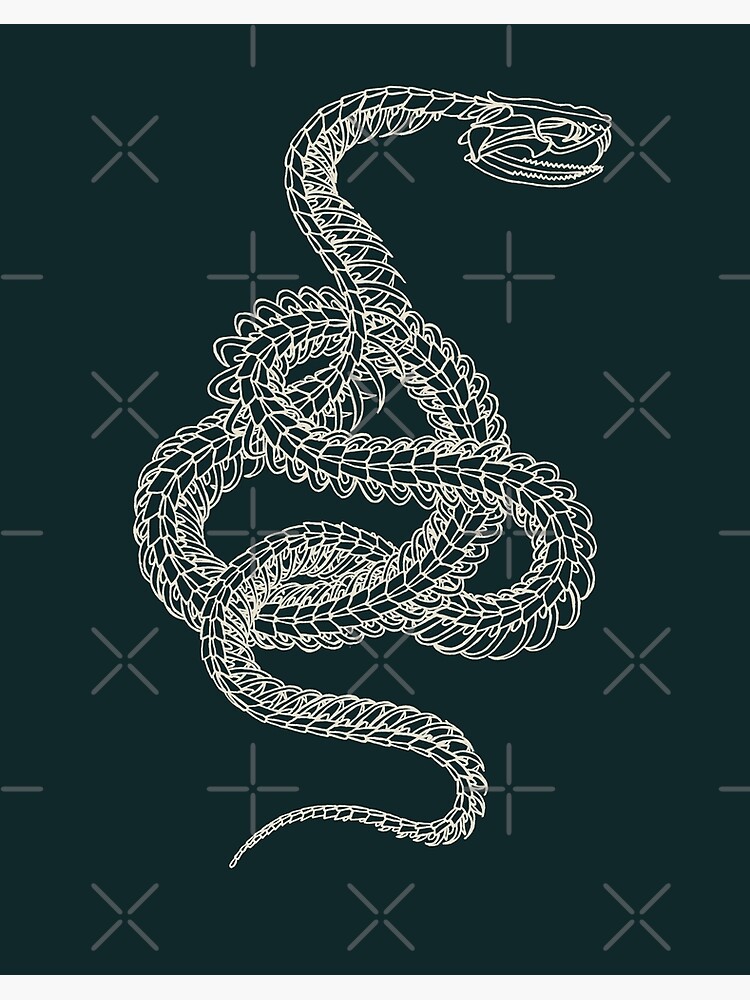 Snake and skeleton snake tattoos located on the